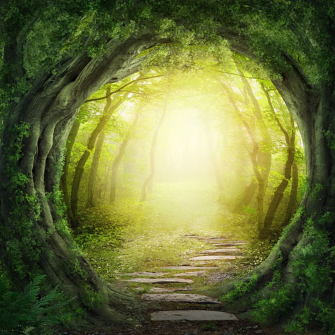 Past Life Regression in Duncanville, Texas